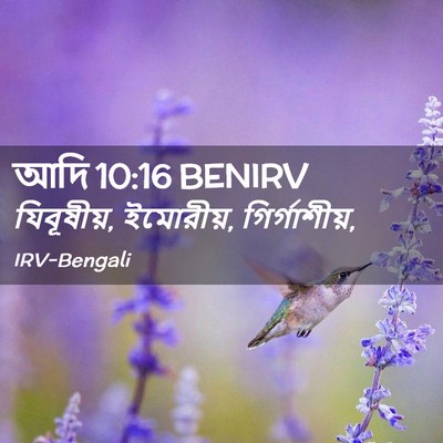 Picture 02 - আদি 10:16 BENIRV - যিবূষীয়, ইমোরীয়, - Bible Verse Picture