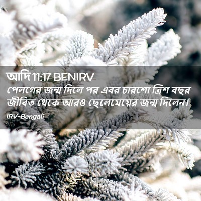 Picture 02 - আদি 11:17 BENIRV - পেলগের জন্ম দিলে - Bible Verse Picture