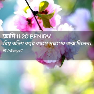 Picture 02 - আদি 11:20 BENIRV - রিয়ূ বত্রিশ বছর - Bible Verse Picture