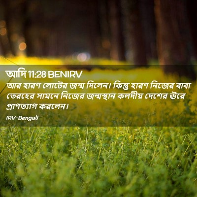 Picture 02 - আদি 11:28 BENIRV - আর হারণ লোটের জন্ম - Bible Verse Picture