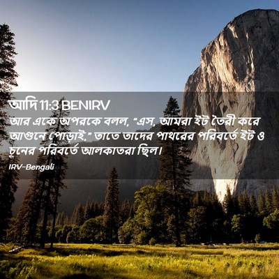 Picture 02 - আদি 11:3 BENIRV - আর একে অপরকে বলল, - Bible Verse Picture