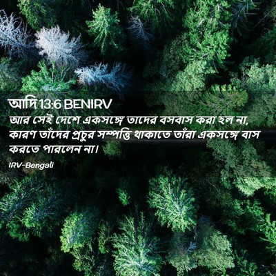 Picture 02 - আদি 13:6 BENIRV - আর সেই দেশে - Bible Verse Picture