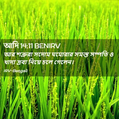 Picture 02 - আদি 14:11 BENIRV - আর শত্রুরা সদোম - Bible Verse Picture