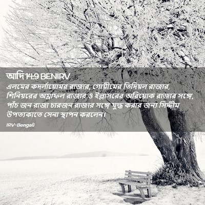 Picture 02 - আদি 14:9 BENIRV - এলমের কদর্লায়োমর - Bible Verse Picture