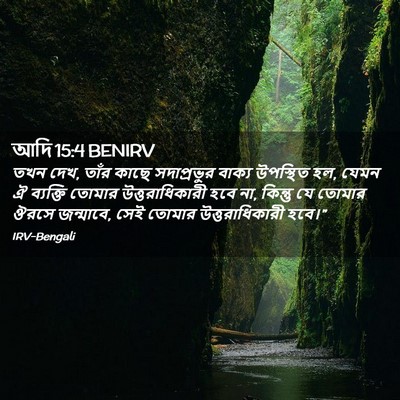 Picture 02 - আদি 15:4 BENIRV - তখন দেখ, তাঁর কাছে - Bible Verse Picture