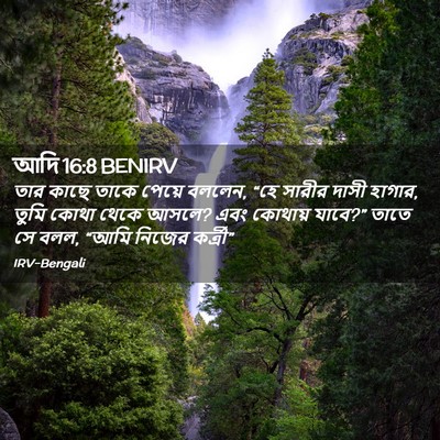 Picture 02 - আদি 16:8 BENIRV - তার কাছে তাকে - Bible Verse Picture