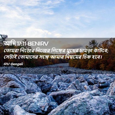Picture 02 - আদি 17:11 BENIRV - তোমরা নিজের নিজের - Bible Verse Picture