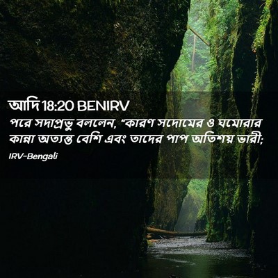 Picture 02 - আদি 18:20 BENIRV - পরে সদাপ্রভু - Bible Verse Picture