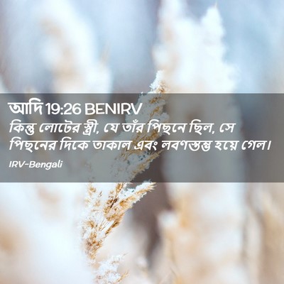 Picture 02 - আদি 19:26 BENIRV - কিন্তু লোটের - Bible Verse Picture
