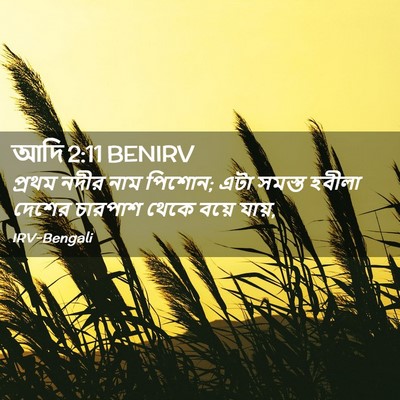 Picture 02 - আদি 2:11 BENIRV - প্রথম নদীর নাম - Bible Verse Picture