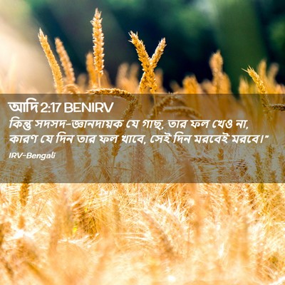 Picture 02 - আদি 2:17 BENIRV - কিন্তু - Bible Verse Picture