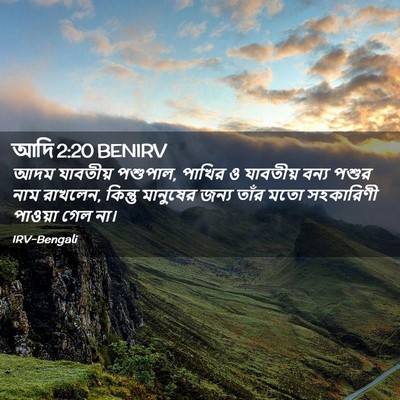 Picture 02 - আদি 2:20 BENIRV - আদম যাবতীয় - Bible Verse Picture