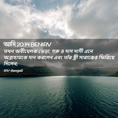 Picture 02 - আদি 20:14 BENIRV - তখন অবীমেলক ভেড়া, - Bible Verse Picture