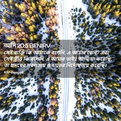 Picture 02 - আদি 20:5 BENIRV - সেই ব্যক্তি কি - Bible Verse Picture