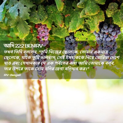 Picture 02 - আদি 22:2 BENIRV - তখন তিনি বললেন, - Bible Verse Picture