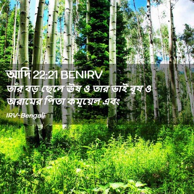 Picture 02 - আদি 22:21 BENIRV - তাঁর বড় ছেলে ঊষ ও - Bible Verse Picture