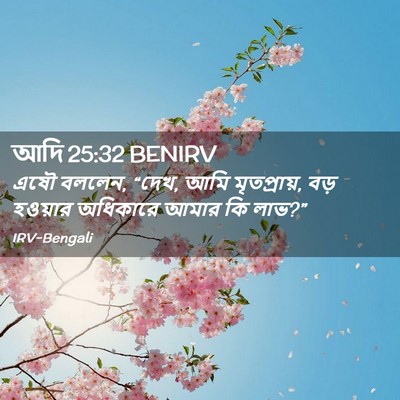 Picture 02 - আদি 25:32 BENIRV - এষৌ বললেন, “দেখ, - Bible Verse Picture