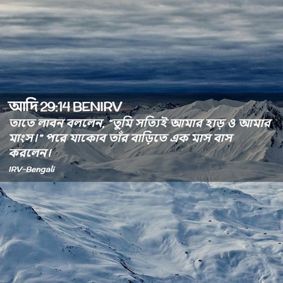 Picture 02 - আদি 29:14 BENIRV - তাতে লাবন বললেন, - Bible Verse Picture