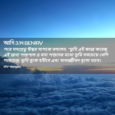 Picture 02 - আদি 3:14 BENIRV - পরে সদাপ্রভু - Bible Verse Picture