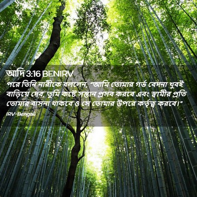 Picture 02 - আদি 3:16 BENIRV - পরে তিনি নারীকে - Bible Verse Picture