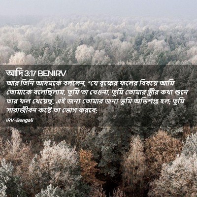Picture 02 - আদি 3:17 BENIRV - আর তিনি আদমকে - Bible Verse Picture