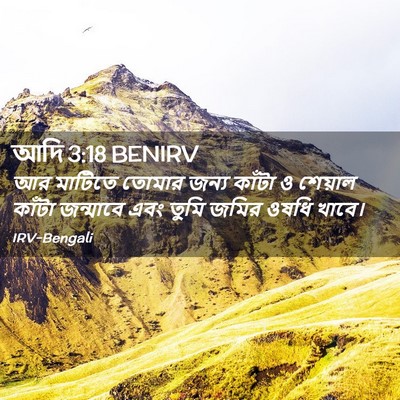 Picture 02 - আদি 3:18 BENIRV - আর মাটিতে তোমার - Bible Verse Picture