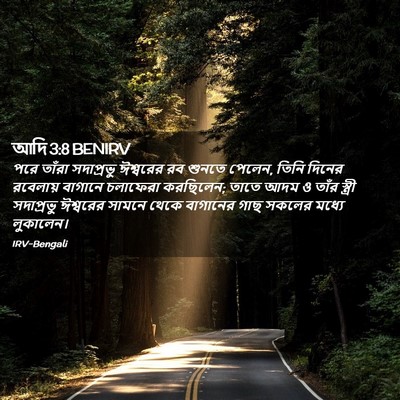 Picture 02 - আদি 3:8 BENIRV - পরে তাঁরা - Bible Verse Picture