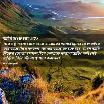Picture 02 - আদি 30:16 BENIRV - পরে সন্ধ্যাবেলা - Bible Verse Picture