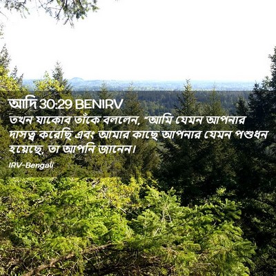 Picture 02 - আদি 30:29 BENIRV - তখন যাকোব তাঁকে - Bible Verse Picture