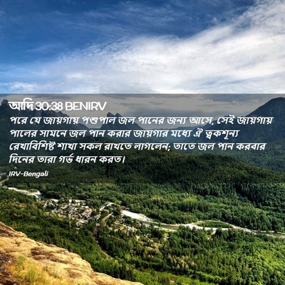 Picture 02 - আদি 30:38 BENIRV - পরে যে জায়গায় - Bible Verse Picture