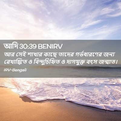 Picture 02 - আদি 30:39 BENIRV - আর সেই শাখার কাছে - Bible Verse Picture