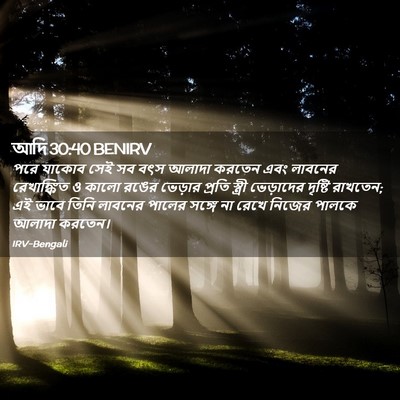 Picture 02 - আদি 30:40 BENIRV - পরে যাকোব সেই সব - Bible Verse Picture