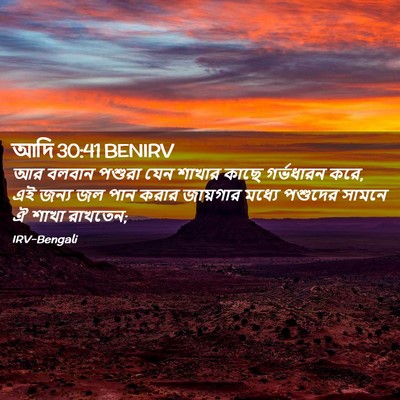 Picture 02 - আদি 30:41 BENIRV - আর বলবান পশুরা যেন - Bible Verse Picture