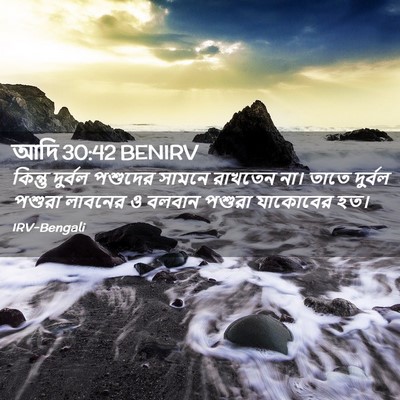 Picture 02 - আদি 30:42 BENIRV - কিন্তু দুর্বল - Bible Verse Picture