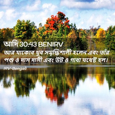 Picture 02 - আদি 30:43 BENIRV - আর যাকোব খুব - Bible Verse Picture