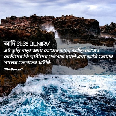 Picture 02 - আদি 31:38 BENIRV - এই কুড়ি বছর আমি - Bible Verse Picture