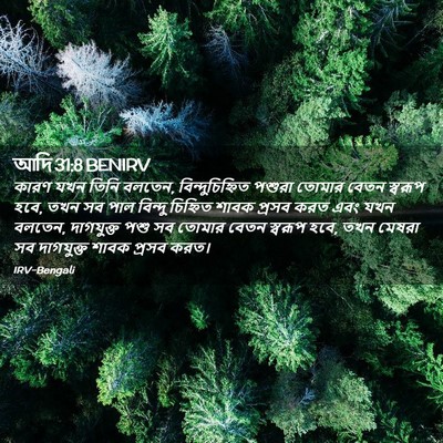 Picture 02 - আদি 31:8 BENIRV - কারণ যখন তিনি - Bible Verse Picture