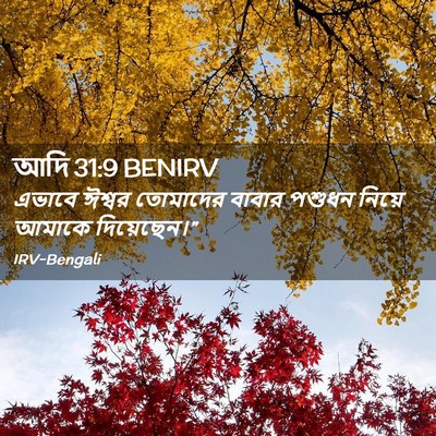 Picture 02 - আদি 31:9 BENIRV - এভাবে ঈশ্বর - Bible Verse Picture