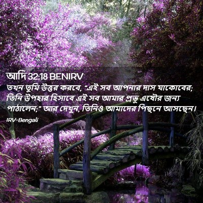 Picture 02 - আদি 32:18 BENIRV - তখন তুমি উত্তর - Bible Verse Picture