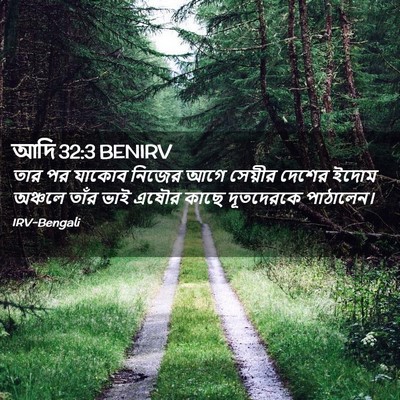 Picture 02 - আদি 32:3 BENIRV - তার পর যাকোব নিজের - Bible Verse Picture