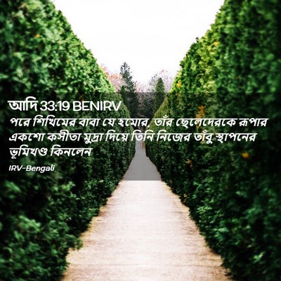 Picture 02 - আদি 33:19 BENIRV - পরে শিখিমের বাবা - Bible Verse Picture