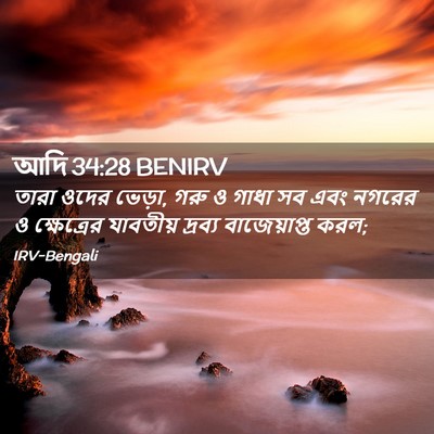 Picture 02 - আদি 34:28 BENIRV - তারা ওদের ভেড়া, - Bible Verse Picture