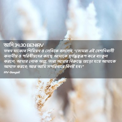 Picture 02 - আদি 34:30 BENIRV - তখন যাকোব শিমিয়ন - Bible Verse Picture