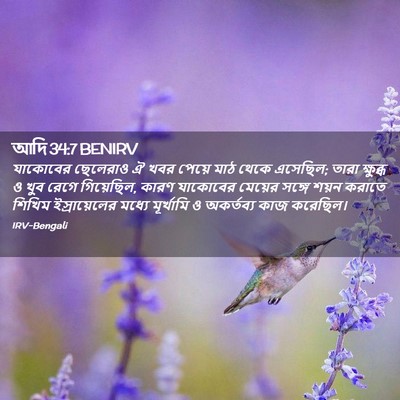 Picture 02 - আদি 34:7 BENIRV - যাকোবের ছেলেরাও ঐ - Bible Verse Picture