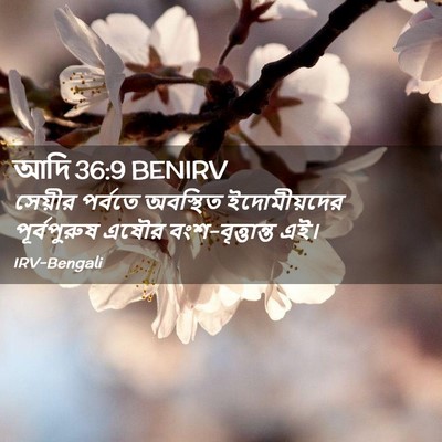 Picture 02 - আদি 36:9 BENIRV - সেয়ীর পর্বতে - Bible Verse Picture