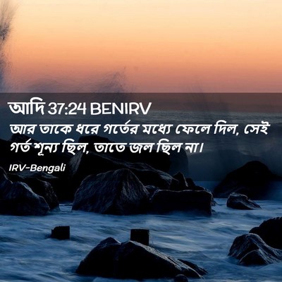Picture 02 - আদি 37:24 BENIRV - আর তাকে ধরে গর্তের - Bible Verse Picture