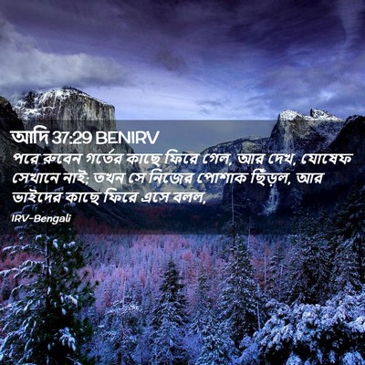 Picture 02 - আদি 37:29 BENIRV - পরে রুবেন গর্তের - Bible Verse Picture