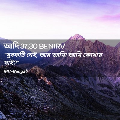 Picture 02 - আদি 37:30 BENIRV - “যুবকটি নেই, আর - Bible Verse Picture