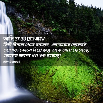 Picture 02 - আদি 37:33 BENIRV - তিনি চিনতে পেরে - Bible Verse Picture