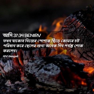 Picture 02 - আদি 37:34 BENIRV - তখন যাকোব নিজের - Bible Verse Picture